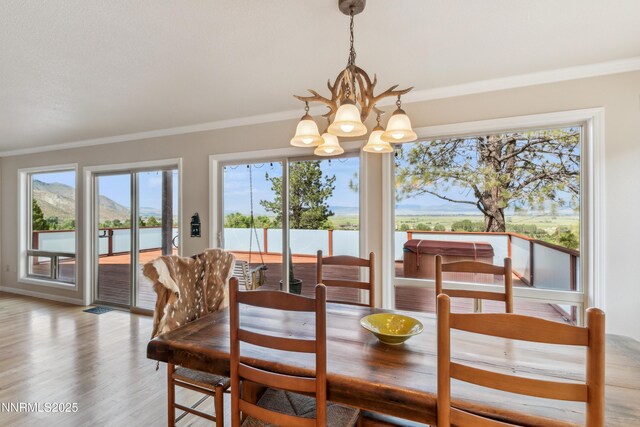 1299 W Kingsbury Grade Rd, Gardnerville, NV 89460 - photo 19