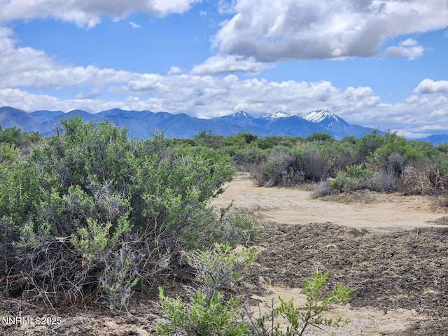 0 Dean Dan Spa Rd, Crescent Valley, NV 89821