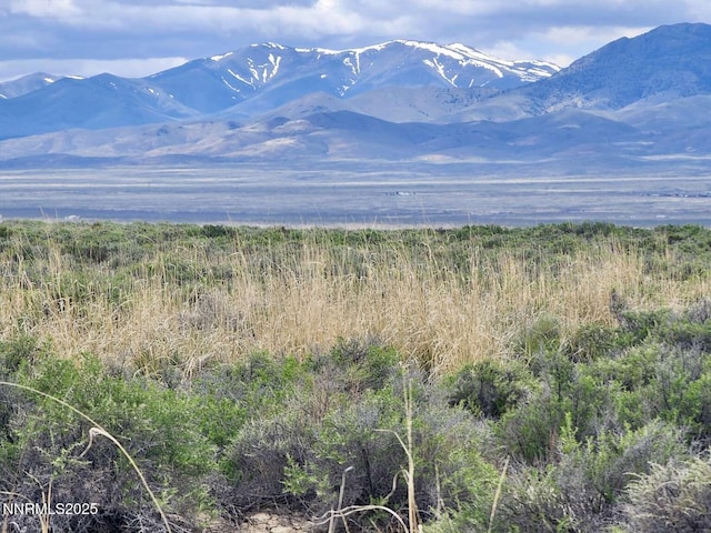 0 Dean Dan Spa Rd, Crescent Valley, NV 89821