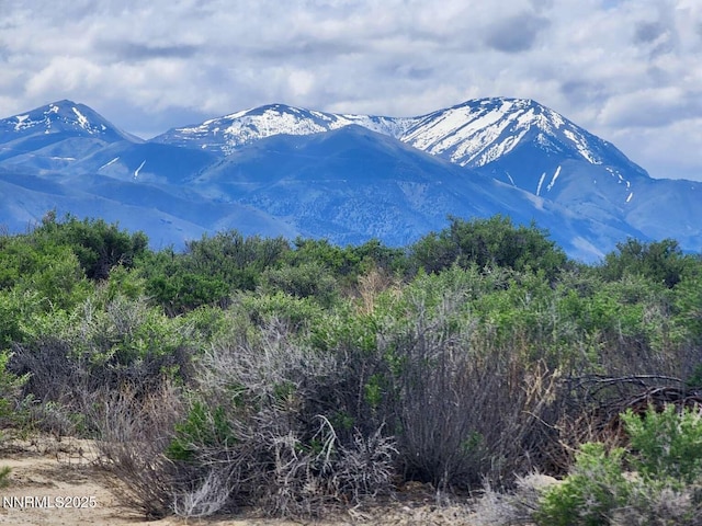0 Dean Dan Spa Rd, Crescent Valley, NV 89821