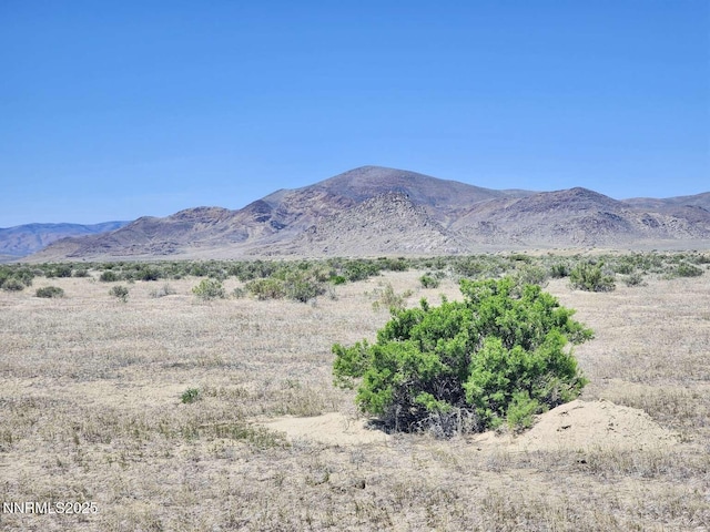 0 Bottle Creek Rd, Winnemucca, NV 89445 - photo 14