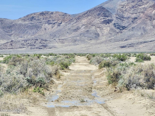 0 Bottle Creek Rd, Winnemucca, NV 89445 - photo 19