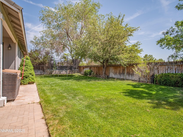 733 Bowles Ln, Gardnerville, NV 89460 - view of yard featuring a trampoline