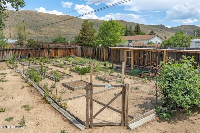 3830 Avocet Ct, Reno, NV 89508 - view of yard with a vegetable garden and a mountain view
