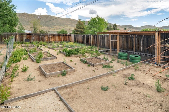3830 Avocet Ct, Reno, NV 89508 - fenced backyard with a mountain view and a garden