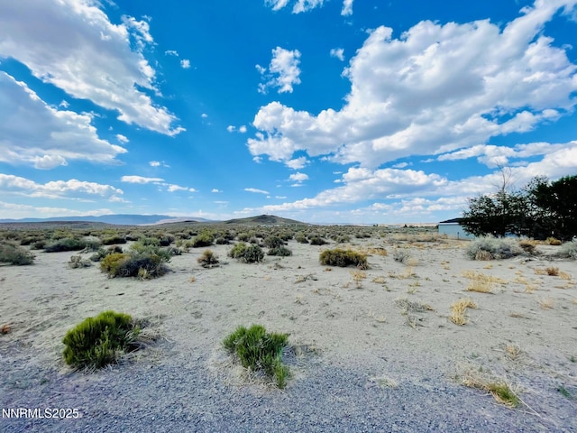 2530 4th St, Silver Springs, NV 89429 - photo 10