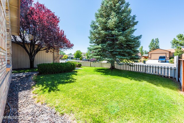 804 Bluerock Rd, Gardnerville, NV 89460 - view of yard