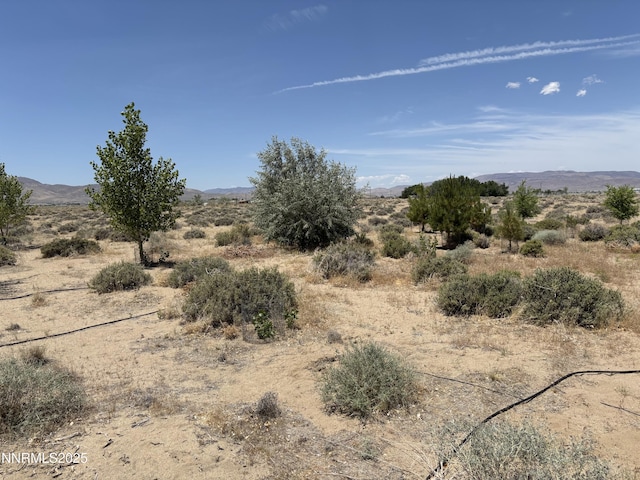 4210 6th St, Silver Springs, NV 89429