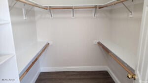 5910 Poinsettia Ct, Sun Valley, NV 89433 - walk in closet with wood finished floors