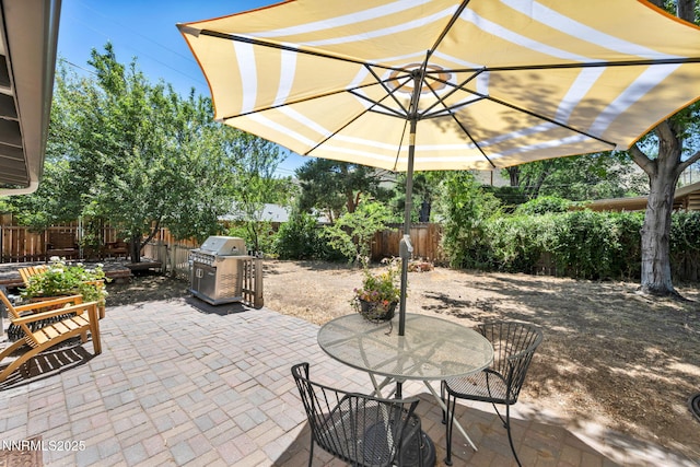 705 Elm St, Carson City, NV 89703 - fenced backyard featuring a patio area and outdoor dining space