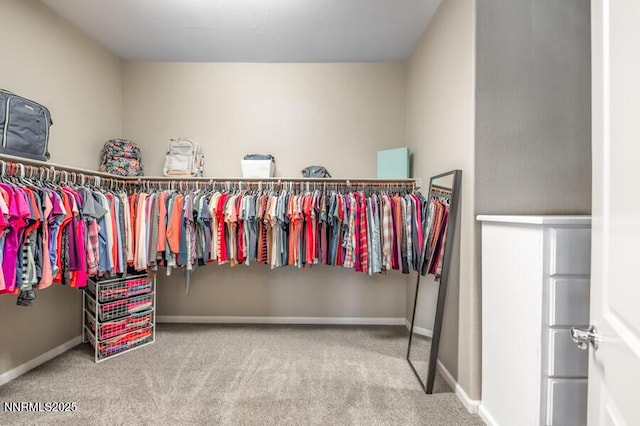 9800 Hafflinger Ln, Reno, NV 89521 - spacious closet with carpet floors