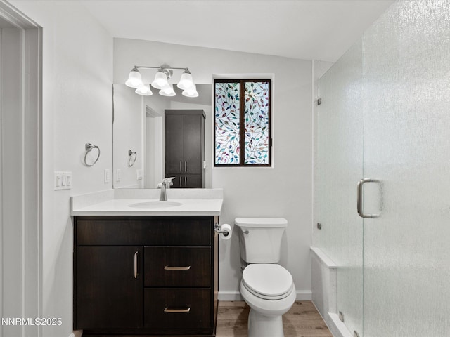 605 Jerry Dr, Zephyr Cove, NV 89448 - full bathroom featuring vanity, a shower stall, wood finished floors, and toilet