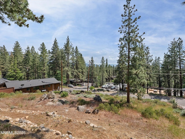 605 Jerry Dr, Zephyr Cove, NV 89448 - view of yard featuring a forest view