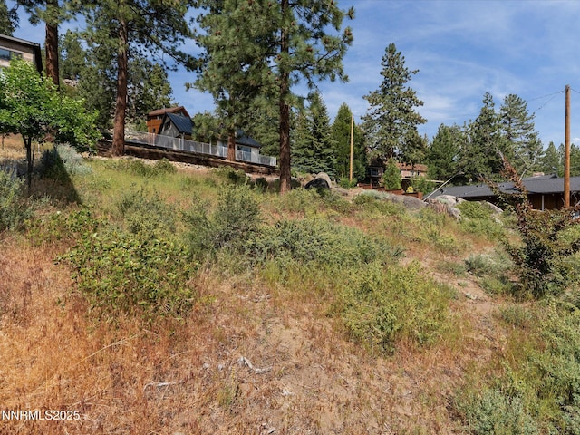 605 Jerry Dr, Zephyr Cove, NV 89448 - view of yard