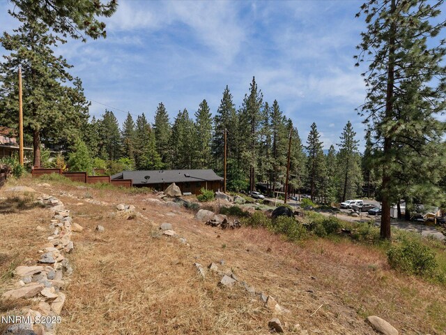 605 Jerry Dr, Zephyr Cove, NV 89448 - view of yard featuring a wooded view