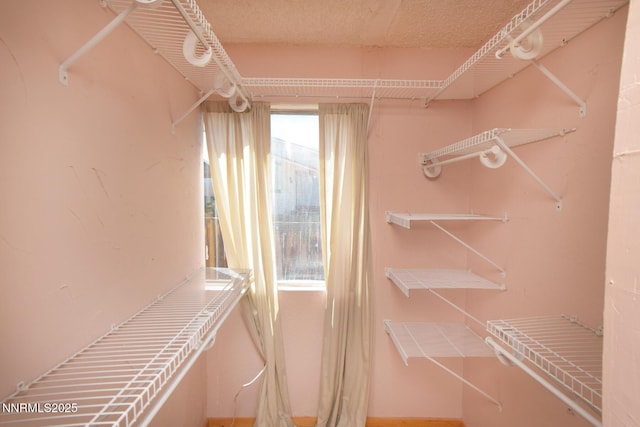 35 Count Fleet Ct, Reno, NV 89502 - view of walk in closet