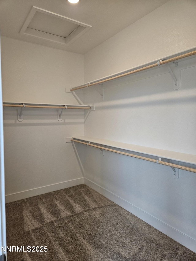 1224 Heybourne Rd, Gardnerville, NV 89410 - walk in closet with carpet and attic access