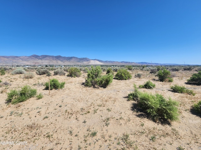 36 Kelsey Ct, Dayton, NV 89403 - photo 4