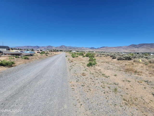 36 Kelsey Ct, Dayton, NV 89403 - photo 8