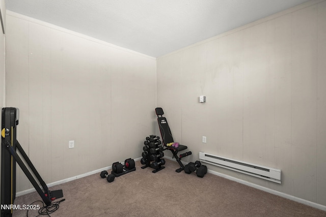 3505 Everett Dr, Reno, NV 89503 - workout room featuring baseboard heating and carpet floors