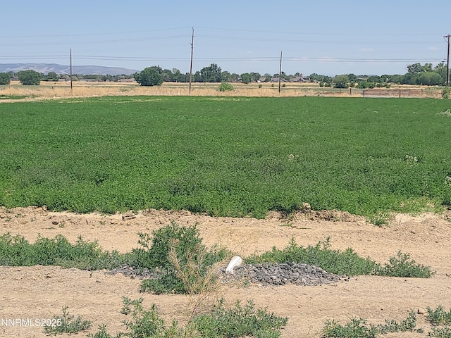 900 Cattle Dr, Fernley, NV 89408 - photo 17