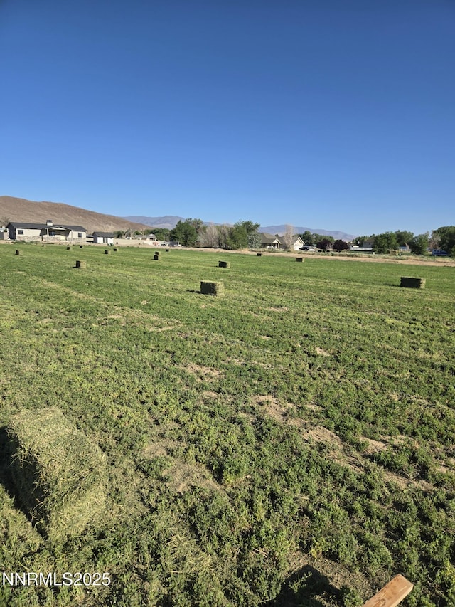 900 Cattle Dr, Fernley, NV 89408 - photo 19