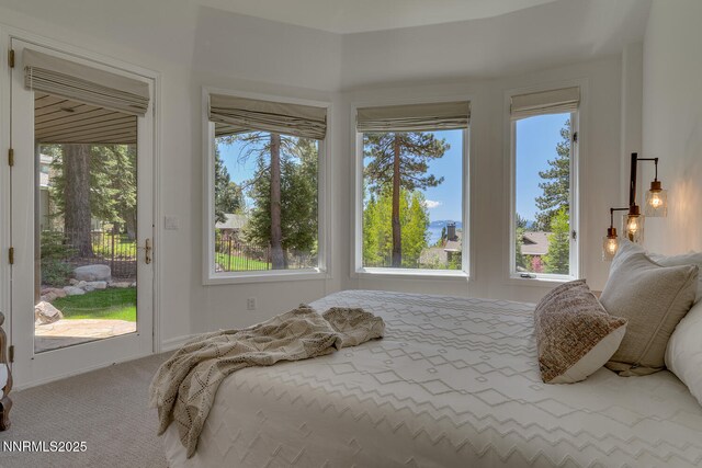 949 Fairview Blvd, Incline Village, NV 89451 - photo 19