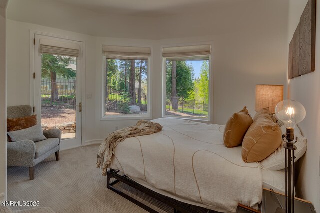 949 Fairview Blvd, Incline Village, NV 89451 - photo 20