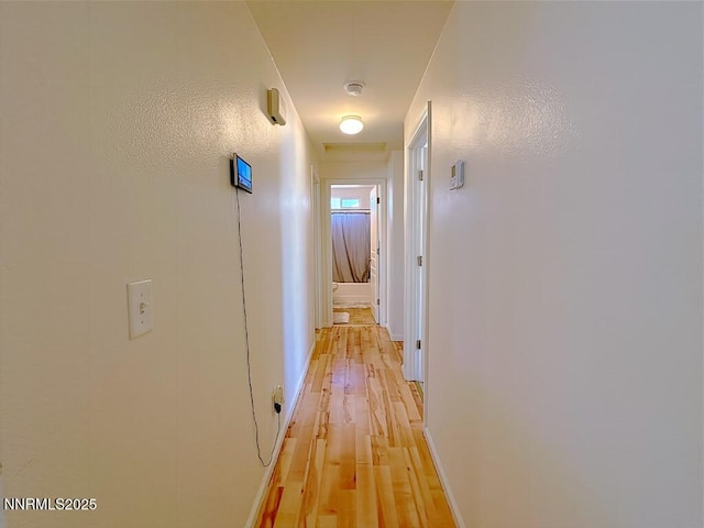 2657 Elizabeth Pkwy, Fallon, NV 89406 - corridor with light wood finished floors and baseboards