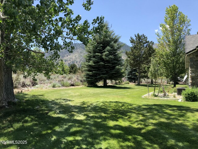 770 Parman Ct, Gardnerville, NV 89460 - photo 41