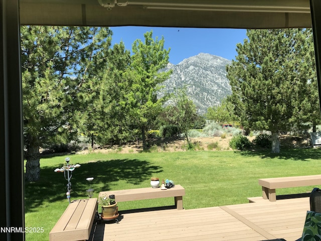 770 Parman Ct, Gardnerville, NV 89460 - photo 29