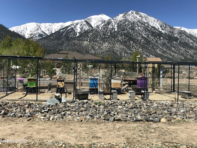 770 Parman Ct, Gardnerville, NV 89460 - photo 28