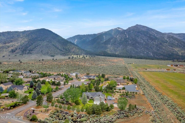 770 Parman Ct, Gardnerville, NV 89460 - photo 37