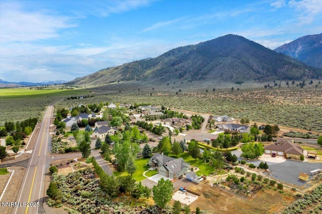 770 Parman Ct, Gardnerville, NV 89460 - photo 46