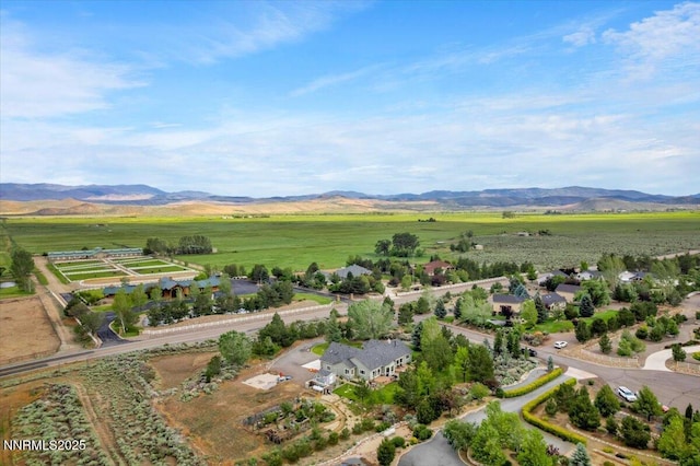 770 Parman Ct, Gardnerville, NV 89460 - photo 45