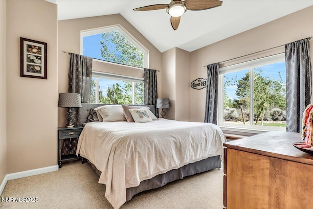 770 Parman Ct, Gardnerville, NV 89460 - photo 19