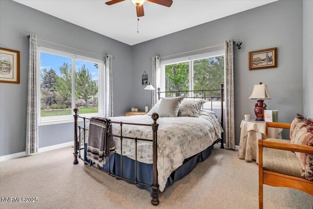770 Parman Ct, Gardnerville, NV 89460 - photo 21