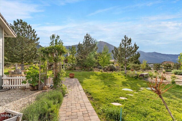 770 Parman Ct, Gardnerville, NV 89460 - photo 35
