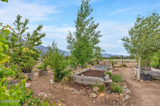 770 Parman Ct, Gardnerville, NV 89460 - photo 42