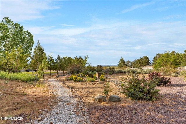 770 Parman Ct, Gardnerville, NV 89460 - photo 43