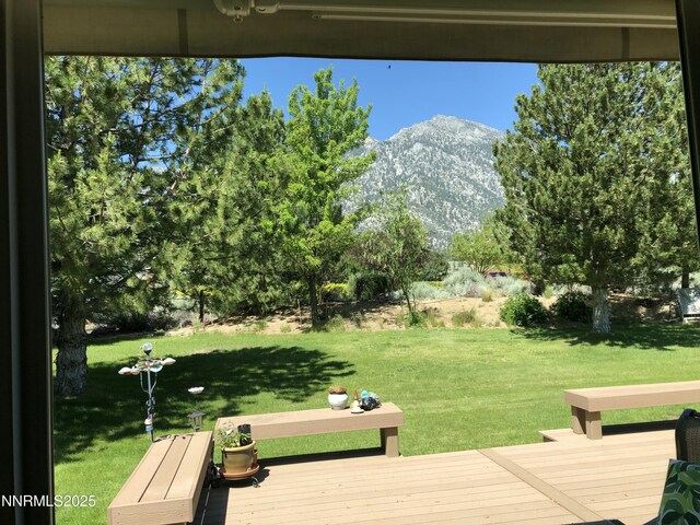 770 Parman Ct, Gardnerville, NV 89460 - photo 38