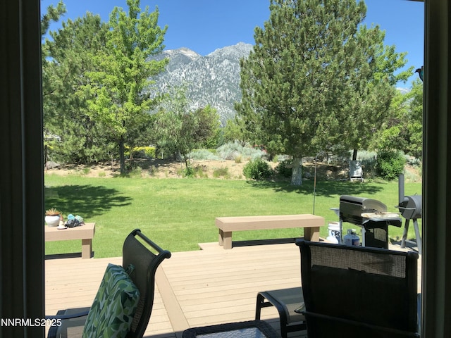 770 Parman Ct, Gardnerville, NV 89460 - photo 39