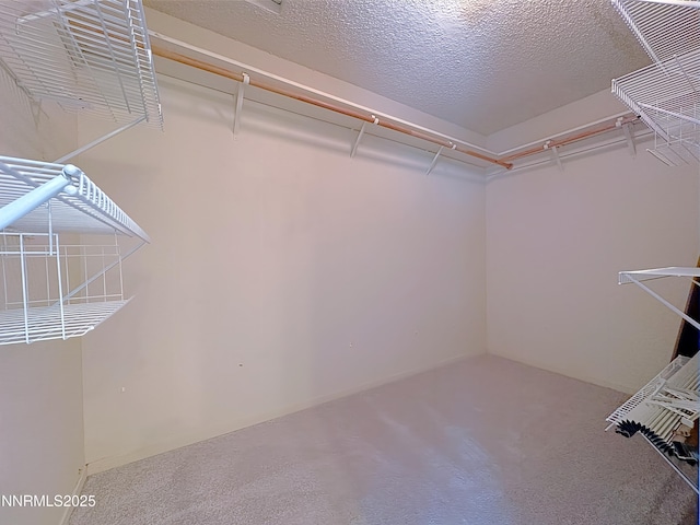 1471 Mescalero Ave, Reno, NV 89523 - photo 20
