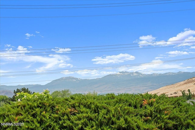 1372 Laser Ct, Sparks, NV 89436 - view of mountain background