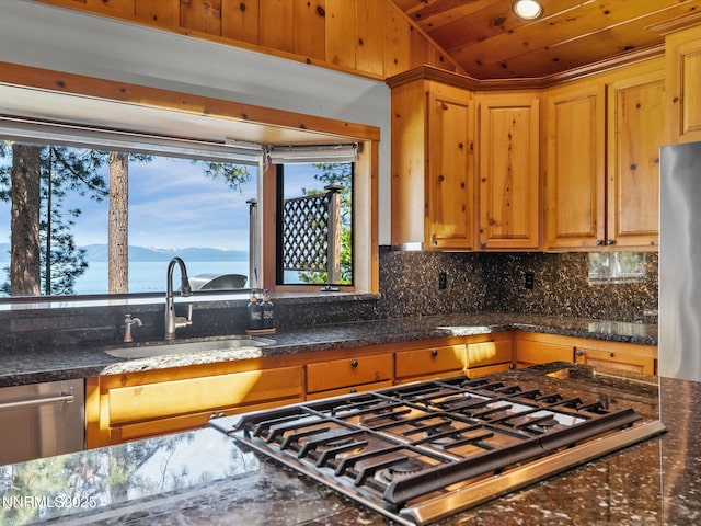 1472 Flowers Ave, Glenbrook, NV 89413 - photo 29