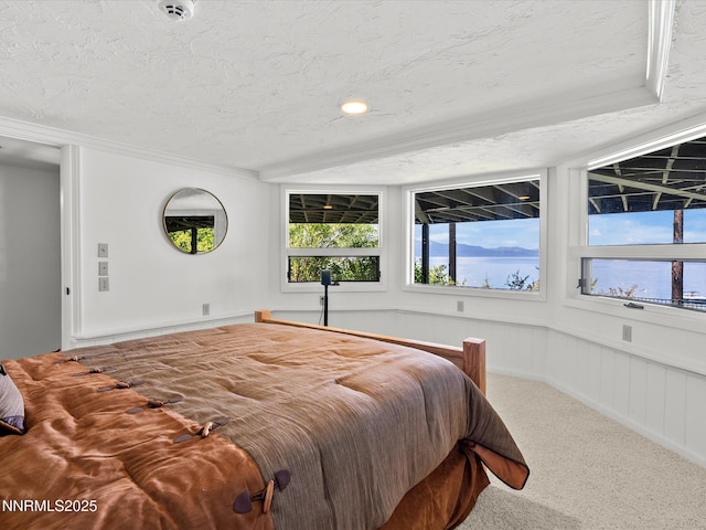 1472 Flowers Ave, Glenbrook, NV 89413 - photo 57