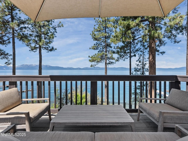 1472 Flowers Ave, Glenbrook, NV 89413 - photo 63