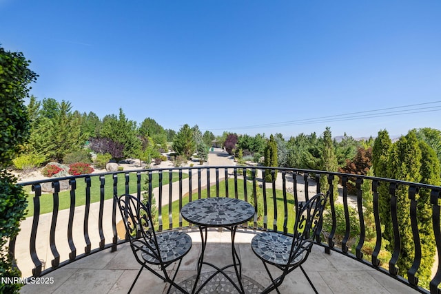 12900 Silver Wolf Rd, Reno, NV 89511 - photo 30