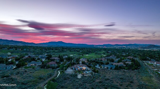 12900 Silver Wolf Rd, Reno, NV 89511 - photo 51