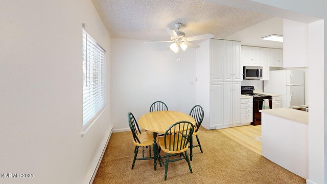 644 Oakwood Dr # 2, Sparks, NV 89431 - photo 6